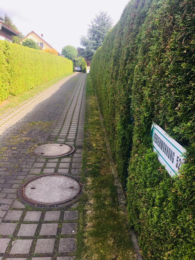 Ferienwohnung Ueber Den Daechern Von Dresden Eksteriør billede
